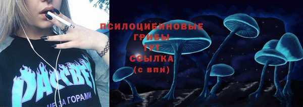 соль ск Балабаново