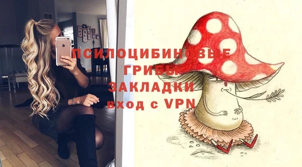 соль ск Балабаново