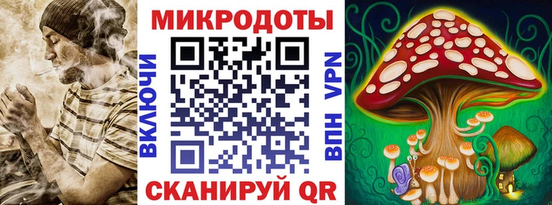 купить   Шарыпово  Галлюциногенные грибы прущие грибы 